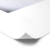 Mandrill Fan BW still Life Photography L Poster (Hoek)