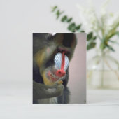 Mandrill Head Briefkaart (Staand voorkant)
