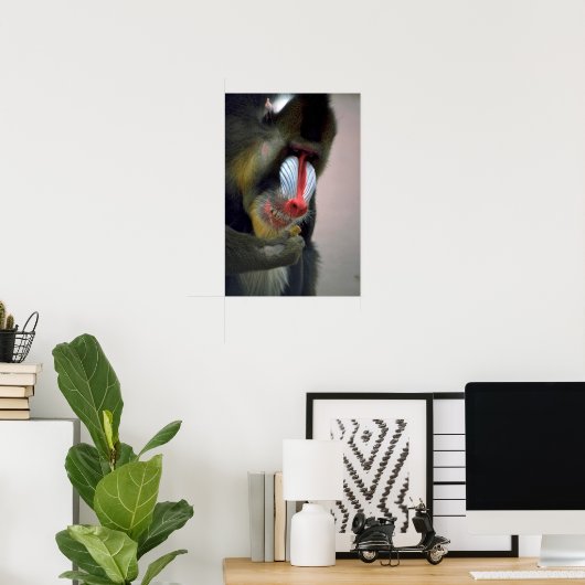 Mandrill Head Poster (Thuiskantoor)