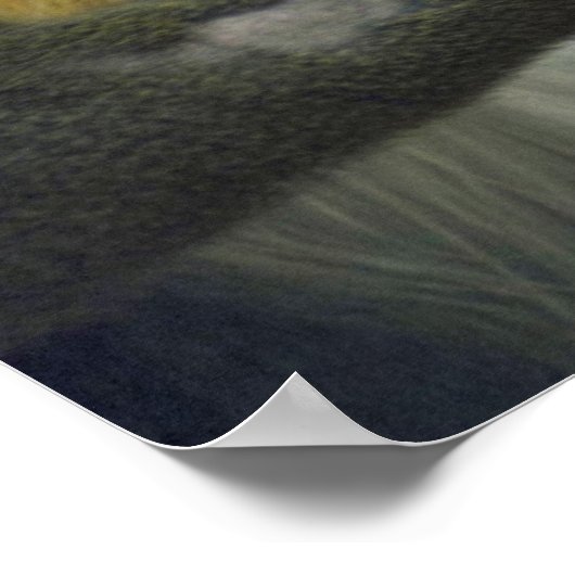 Mandrill Head Poster (Hoek)