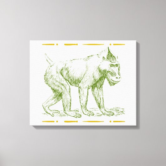 Mandrill Monkey Canvas Afdruk (Voorkant)