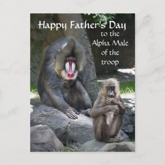Mandrill Monkey Vaderdag briefkaart
