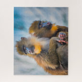 Mandrill Monkeys. Jigzaag Puzzle Legpuzzel (Verticaal)
