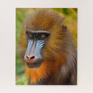 Mandrill Monkeys. Legpuzzel