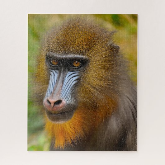 Mandrill Monkeys. Legpuzzel (Verticaal)
