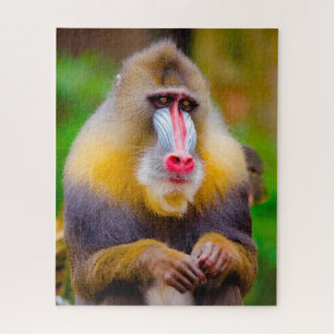 Mandrill Monkeys. Legpuzzel