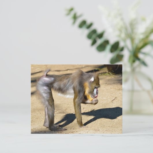 Mandrill op de grond feestdagenkaart (Staand voorkant)
