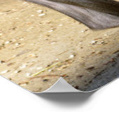 Mandrill op de grond poster (Hoek)