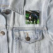 Mandrill Pin Vierkante Button 5,1 Cm (In situ)