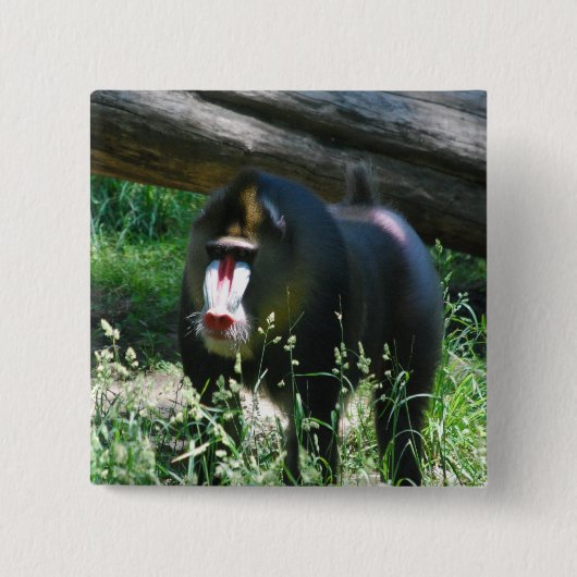 Mandrill Pin Vierkante Button 5,1 Cm (Voorkant)