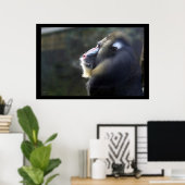 Mandrill Poster (Thuiskantoor)