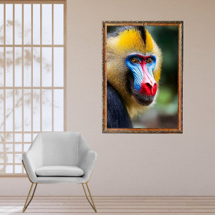 Mandrill Poster