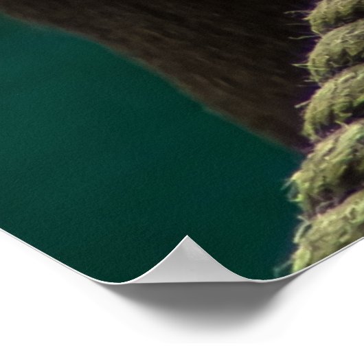 Mandrill Primate Portrait Poster (Hoek)