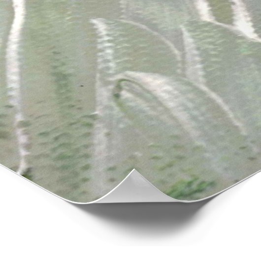 Mandrill Print, Value Poster Paper (Semi-Gloss) (Hoek)