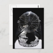 Mandrill Ventilator BW stille levensfotografie Briefkaart (Voorkant / Achterkant)