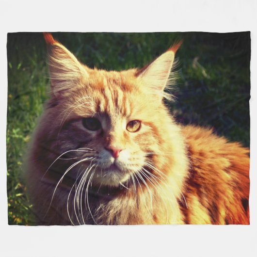 Mane Coon Fleece Deken (Voorkant (Horizontaal))