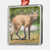 Maned Wolf loopt op gras Metalen Ornament (Links)