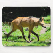 Maned Wolf loopt op gras Muismat (Voorkant)