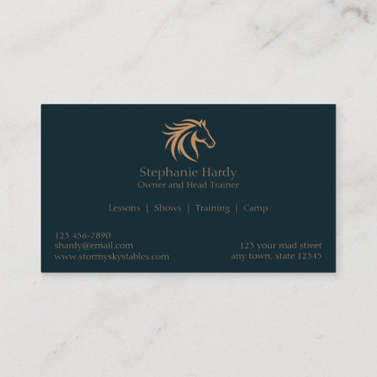 manege visitekaartje (Achterkant)