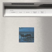 Maneschijn Gevecht (Waterbuffels Strijdend) Magneet (Insitu (Vaatwasser))