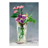 Manet Carnans clematis CC1240 Mooie bloemen Perfect Poster (Voorkant)