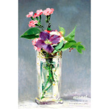 Manet Carnans clematis CC1240 Mooie bloemen