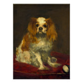 Manet Een King Charles Spaniel Perfect Poster (Voorkant)