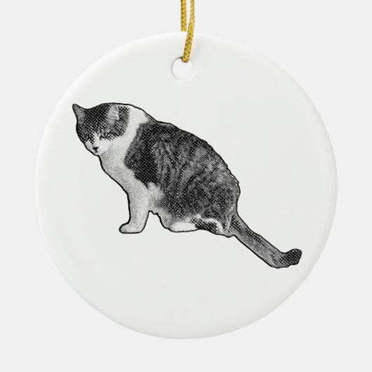 Manga Dot Cat Ornament Brightens Festive Decor (Voorkant)