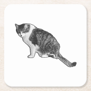 Manga kat coaster zorgt voor conversatie en comfor kartonnen onderzetters