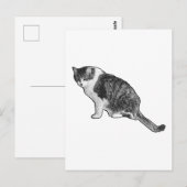 Manga kat postkaart levert grafisch vakantievermaa (Voorkant / Achterkant)