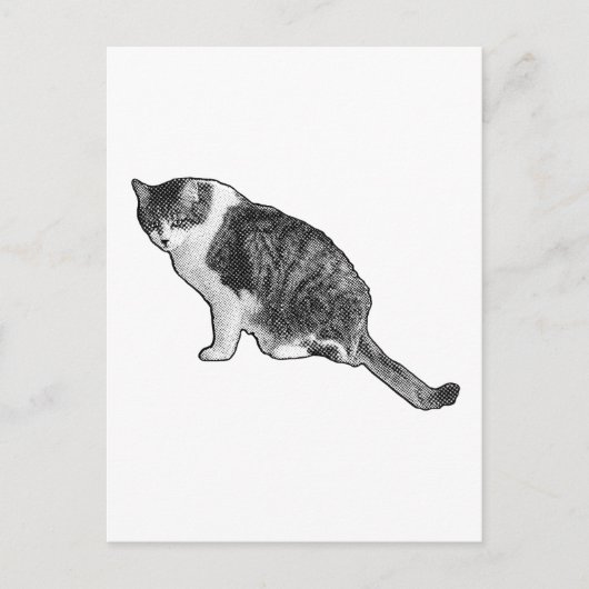Manga kat postkaart levert grafisch vakantievermaa (Voorkant)