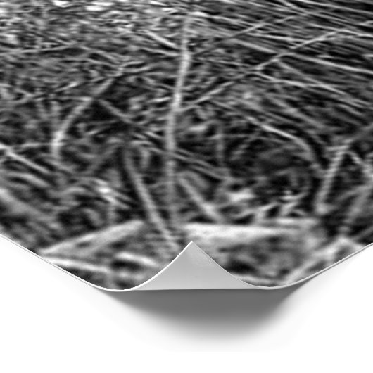 Manga Page Artwork Vagabond Poster (Hoek)