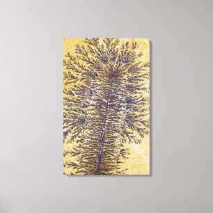 Mangaandendriet, Zuidwest-Verenigde Staten Canvas Afdruk