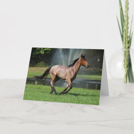 Mangalarga aan de voorzijde van de fontein kaart (Voorkant)