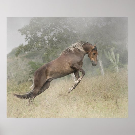 Mangalarga Marchador Stallion bij Liberty Poster (Voorkant)