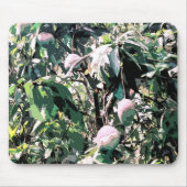 Mango Boom Muismat (Voorkant)