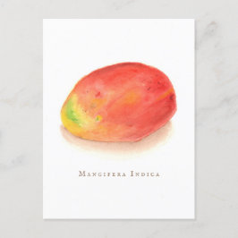 Mango. briefkaart