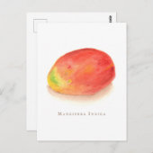 Mango.   briefkaart (Voorkant / Achterkant)