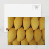 Mango Briefkaart (Voorkant / Achterkant)