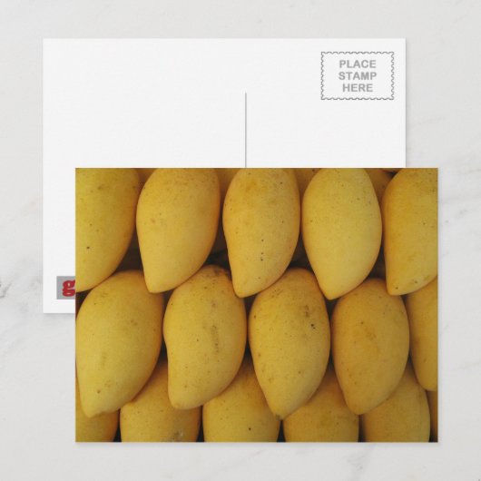 Mango Briefkaart (Voorkant / Achterkant)