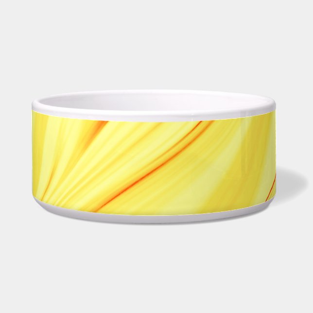 Mango crème, met gebogen rode of koraalslag voerbakje (Voorkant)