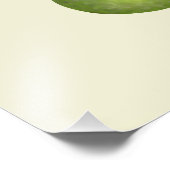 Mango en Avocado Foto Afdruk (Hoek)