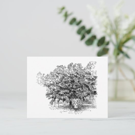 Mango Farmer Briefkaart (Staand voorkant)