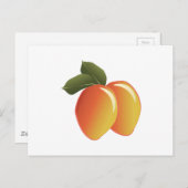Mango Fruit Briefkaart (Voorkant / Achterkant)