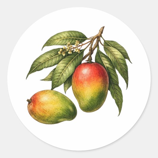 Mango fruit tak vintage stijl ronde sticker (Voorkant)