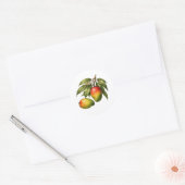 Mango fruit tak vintage stijl ronde sticker (Envelop)