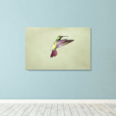 Mango Hummingbird Anthracocorax 2 Canvas Afdruk (Insitu (Houten vloer))