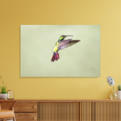 Mango Hummingbird Anthracocorax 2 Canvas Afdruk (Insitu (Woonkamer))