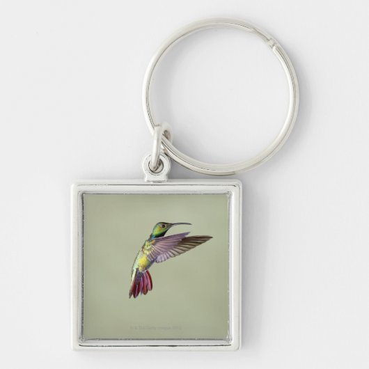 Mango Hummingbird Anthracocorax 2 Sleutelhanger (Voorkant)