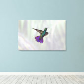 Mango Hummingbird Anthracocorax Canvas Afdruk (Insitu (Houten vloer))